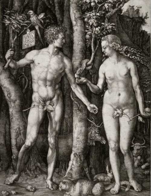 Альбрехт Дюрер. Адам и Ева, 1504
