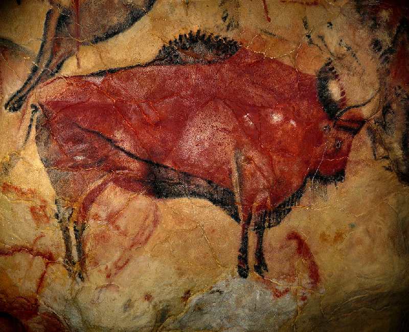 Reproduction of a bison of the cave of Altamira