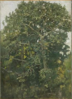 Деревья у пруда (Пейзаж. Дубы в Абрамцеве) - Картина Васнецова